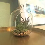 Linda 아파트 *